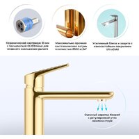 Смеситель Wellsee ICON! for life 182308000, отдельностоящий (золотой) - Превью изображения №2 — Интернет-магазин Time-Shop