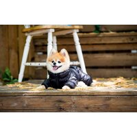 Комбинезон для животных Puppia Jumpesuit B PAPD-JM1673-BK-XL (черный) - Превью изображения №4 — Интернет-магазин Time-Shop