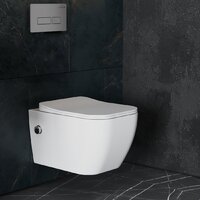 Унитаз подвесной Roxen Cube Bidet One Rimless 6 в 1 StounFix Dual Fresh 608961 (кнопка: матовая) - Превью изображения №10 — Интернет-магазин Time-Shop