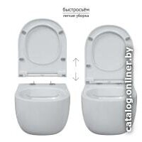 Сиденье для унитаза Berges Wasserhaus Toma Slim SO 017603 (с микролифтом) - Превью изображения №4 — Интернет-магазин Time-Shop