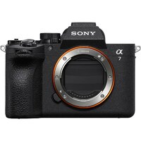 Беззеркальный фотоаппарат Sony Alpha a7 V Body - Превью изображения №9 — Интернет-магазин Time-Shop