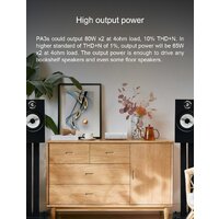 Усилитель мощности Topping PA3s (черный) - Превью изображения №9 — Интернет-магазин Time-Shop