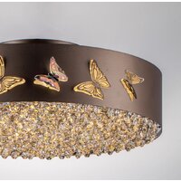 Припотолочная люстра Lightstar Faraone 701021 - Превью изображения №2 — Интернет-магазин Time-Shop