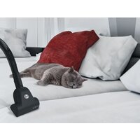 Пылесос Hoover TXL20PET 011 - Превью изображения №9 — Интернет-магазин Time-Shop