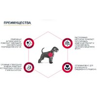 Сухой корм для собак Advance VetDiet Diabetes Colitis 3 кг - Превью изображения №3 — Интернет-магазин Time-Shop