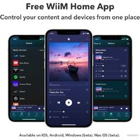 Сетевой интегральный усилитель WiiM Amp (серебристый) - Превью изображения №7 — Интернет-магазин Time-Shop