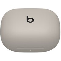 Наушники Beats Powerbeats Pro 2 (серый) - Превью изображения №7 — Интернет-магазин Time-Shop