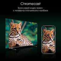 OLED телевизор Digma Pro OLED 65M - Превью изображения №11 — Интернет-магазин Time-Shop