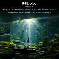 OLED телевизор Digma Pro OLED 65M - Превью изображения №14 — Интернет-магазин Time-Shop