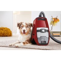 Пылесос Miele Blizzard CX1 Cat & Dog PowerLine SKCF3 - Превью изображения №7 — Интернет-магазин Time-Shop