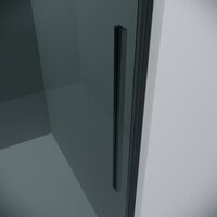 Душевой уголок Grossman Galaxy 100x90x195 120.K33.01.1090.42.10 (графит сатин/стекло тонированное) - Превью изображения №2 — Интернет-магазин Time-Shop