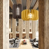 Подвесная люстра ST Luce SL3004.453.01 - Превью изображения №2 — Интернет-магазин Time-Shop