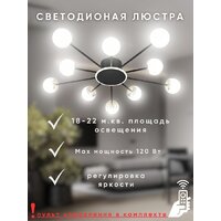 Припотолочная люстра Aitin Pro L73058/10C (черный/хром) - Превью изображения №6 — Интернет-магазин Time-Shop