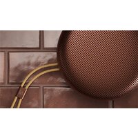 Беспроводная колонка Bang & Olufsen Beosound A1 3rd Gen (rustic red) - Превью изображения №5 — Интернет-магазин Time-Shop