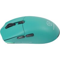 Мышь Raskat MG006TR - Превью изображения №4 — Интернет-магазин Time-Shop