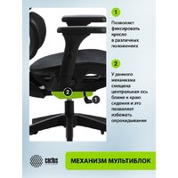 Офисное кресло CACTUS CS-MC555-BK (черный) - Превью изображения №10 — Интернет-магазин Time-Shop