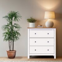 Комод Mio Tesoro Сага 2.08.02.020.14 (белый/ясень) - Превью изображения №3 — Интернет-магазин Time-Shop