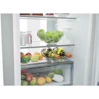 Холодильник Candy CNBQT5519DW - Превью изображения №9 — Интернет-магазин Time-Shop