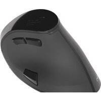 Вертикальная мышь Natec Euphonie - Превью изображения №3 — Интернет-магазин Time-Shop