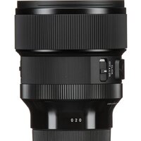 Объектив Sigma 85mm F/1.4 DG DN Art Sony E - Превью изображения №10 — Интернет-магазин Time-Shop