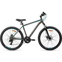 AIST Rocky 1.0 Disc 26 р.16 2026 (серый/синий)