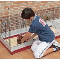 Клетка Ferplast Krolik 160 57072670 - Превью изображения №4 — Интернет-магазин Time-Shop