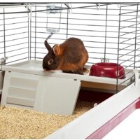 Клетка Ferplast Krolik 160 57072670 - Превью изображения №7 — Интернет-магазин Time-Shop