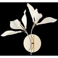 Wertmark Miranda WE123.02.301