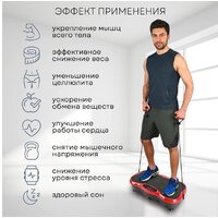 Виброплатформа Planta VP-03 - Превью изображения №5 — Интернет-магазин Time-Shop