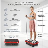 Виброплатформа Planta VP-03 - Превью изображения №4 — Интернет-магазин Time-Shop