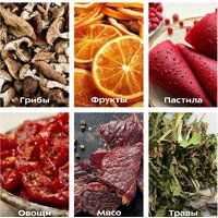 Сушилка для овощей и фруктов Kitfort KT-1913 - Превью изображения №4 — Интернет-магазин Time-Shop