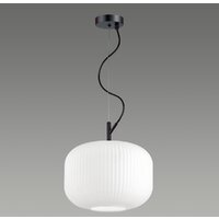 Подвесная люстра Odeon Light Roofi 4754/1 - Превью изображения №3 — Интернет-магазин Time-Shop