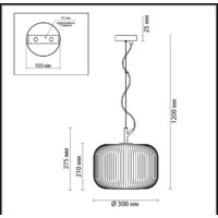 Подвесная люстра Odeon Light Roofi 4754/1 - Превью изображения №2 — Интернет-магазин Time-Shop