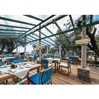 Инфракрасный обогреватель Ballu BIH-LW2-1.5 - Превью изображения №4 — Интернет-магазин Time-Shop