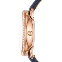 Наручные часы Fossil ES4394 - Превью изображения №3 — Интернет-магазин Time-Shop