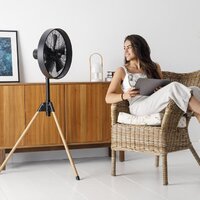 Вентилятор Taurus Forest 944665000 - Превью изображения №11 — Интернет-магазин Time-Shop