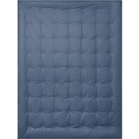 Espera Home Cloud Cool Captain`s Blue ЕС-8101 200x220