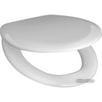 Унитаз подвесной Roca Mateo [893100010] - Превью изображения №4 — Интернет-магазин Time-Shop