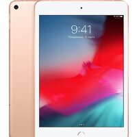 Apple iPad mini 2019 256GB LTE MUXE2 (золотой)