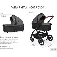 Универсальная коляска Tomix Selena 2в1 P02 (черный) - Превью изображения №34 — Интернет-магазин Time-Shop