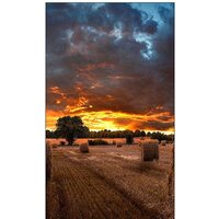 Информационная панель Samsung VM55T-U - Превью изображения №6 — Интернет-магазин Time-Shop