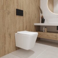 Унитаз подвесной Lauter Square 214903 с кнопкой 219703F (квадратная, сатин) - Превью изображения №9 — Интернет-магазин Time-Shop