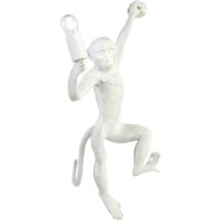 Evoluce Tenato SLE115111-01