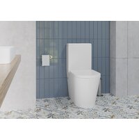 Унитаз напольный Lauter W76 P-TRAP 21122762 + гигиенический душ Mild 21LT072BM (горизонтальный выпуск) - Превью изображения №14 — Интернет-магазин Time-Shop