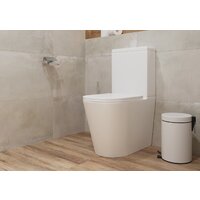 Унитаз напольный Lauter W76 P-TRAP 21122762 + гигиенический душ Mild 21LT072BM (горизонтальный выпуск) - Превью изображения №9 — Интернет-магазин Time-Shop