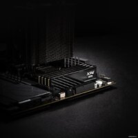 Оперативная память ADATA XPG Lancer Blade 16ГБ DDR5 6000 МГц AX5U6000C4816G-SLABBK - Превью изображения №5 — Интернет-магазин Time-Shop