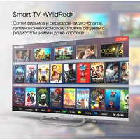 Телевизор Topdevice Frameless Neo TDTV24CS04H_WE - Превью изображения №8 — Интернет-магазин Time-Shop