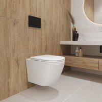 Унитаз подвесной Lauter Vortex 2110830VP + Breez 21GN7072BM - Превью изображения №22 — Интернет-магазин Time-Shop