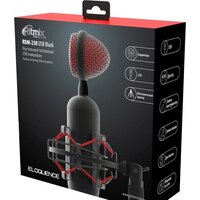Проводной микрофон Ritmix RDM-230 USB Eloquence - Превью изображения №7 — Интернет-магазин Time-Shop