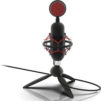 Проводной микрофон Ritmix RDM-230 USB Eloquence - Превью изображения №6 — Интернет-магазин Time-Shop